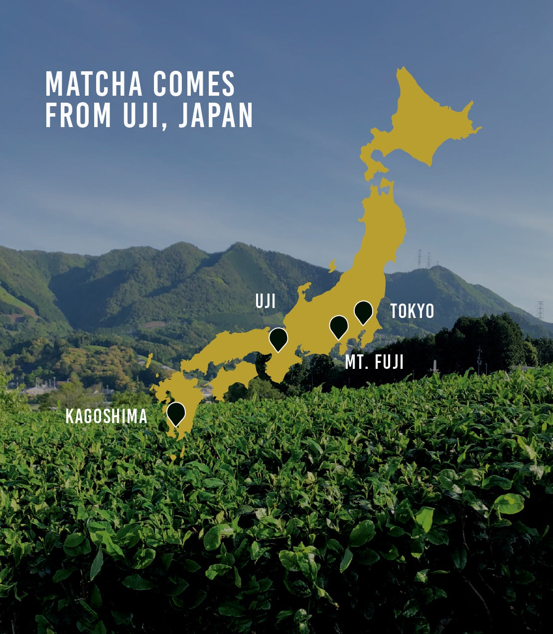 Culinary Matcha